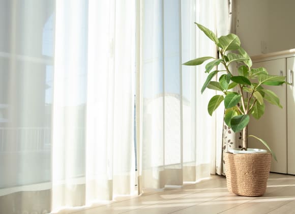 販売・クリーニング