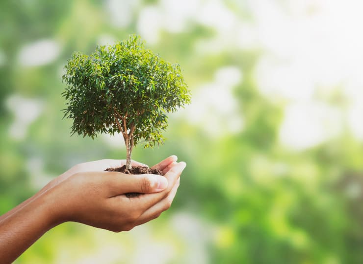 廃棄物削減への貢献
